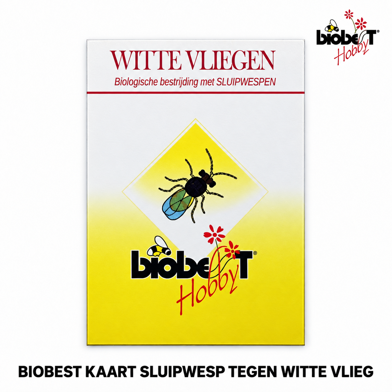 Biobest sluipwespkaart tegen witte vliegen