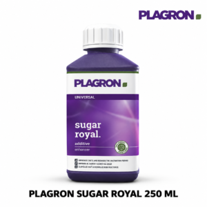 PLAGRON sugar royal 250 ml