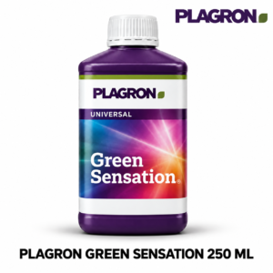 PLAGRON green sensation 250 ml