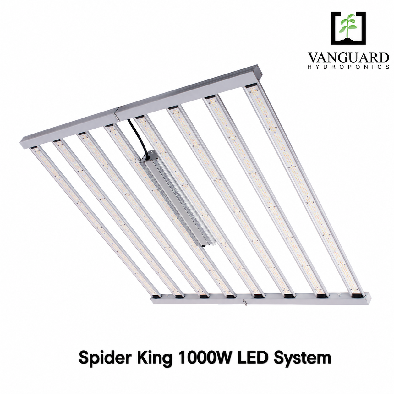 Vanguard Spider King 1000W LED-systeem